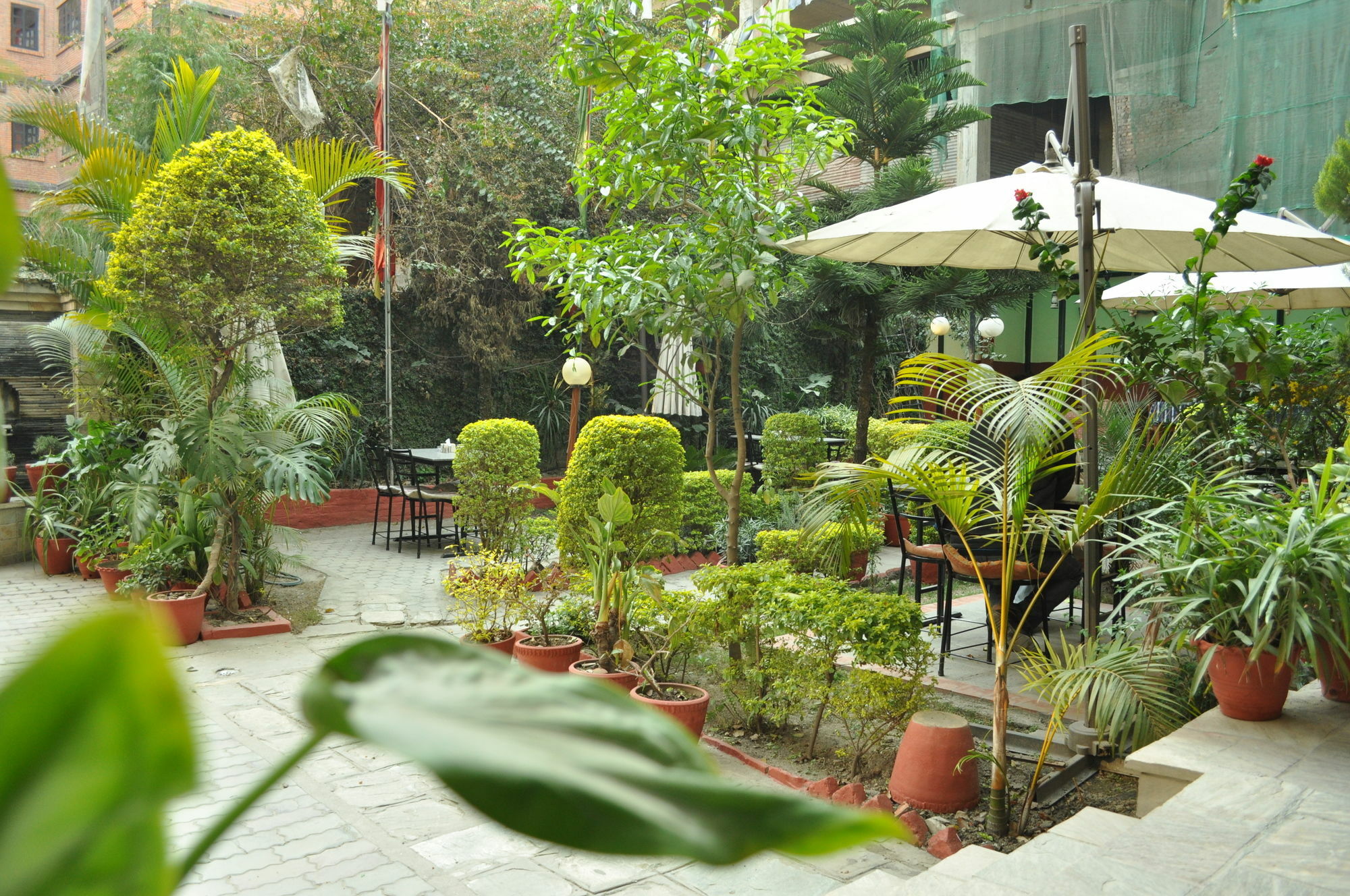 Hotel Florid Κατμαντού Εξωτερικό φωτογραφία